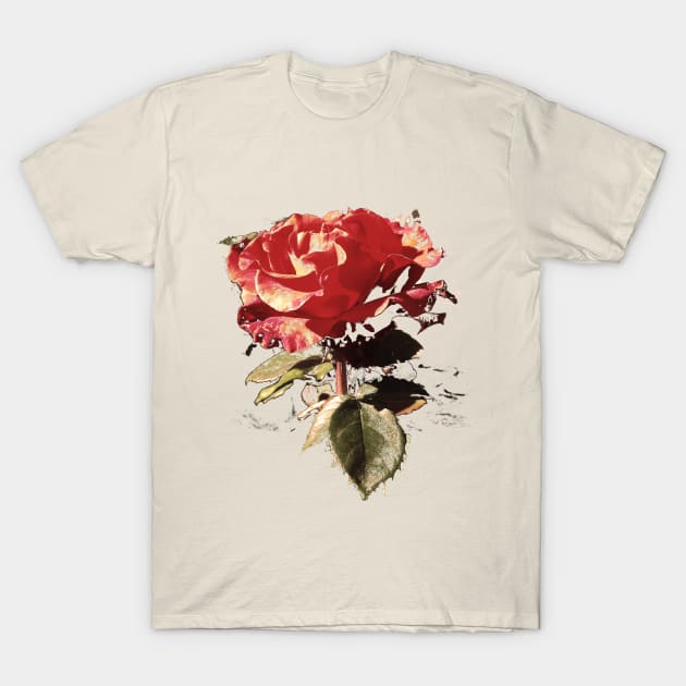 the Rose T-Shirt by YuliiaLestes